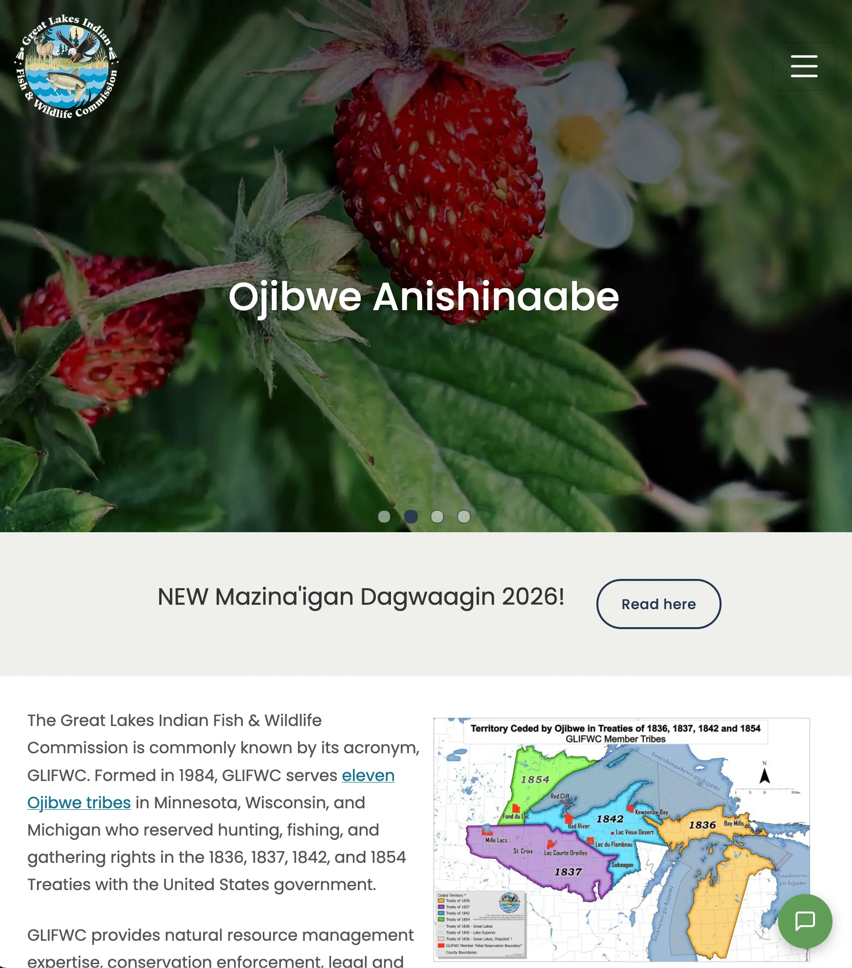 Great Lakes Indian Fish & Wildlife Commission website on tablet