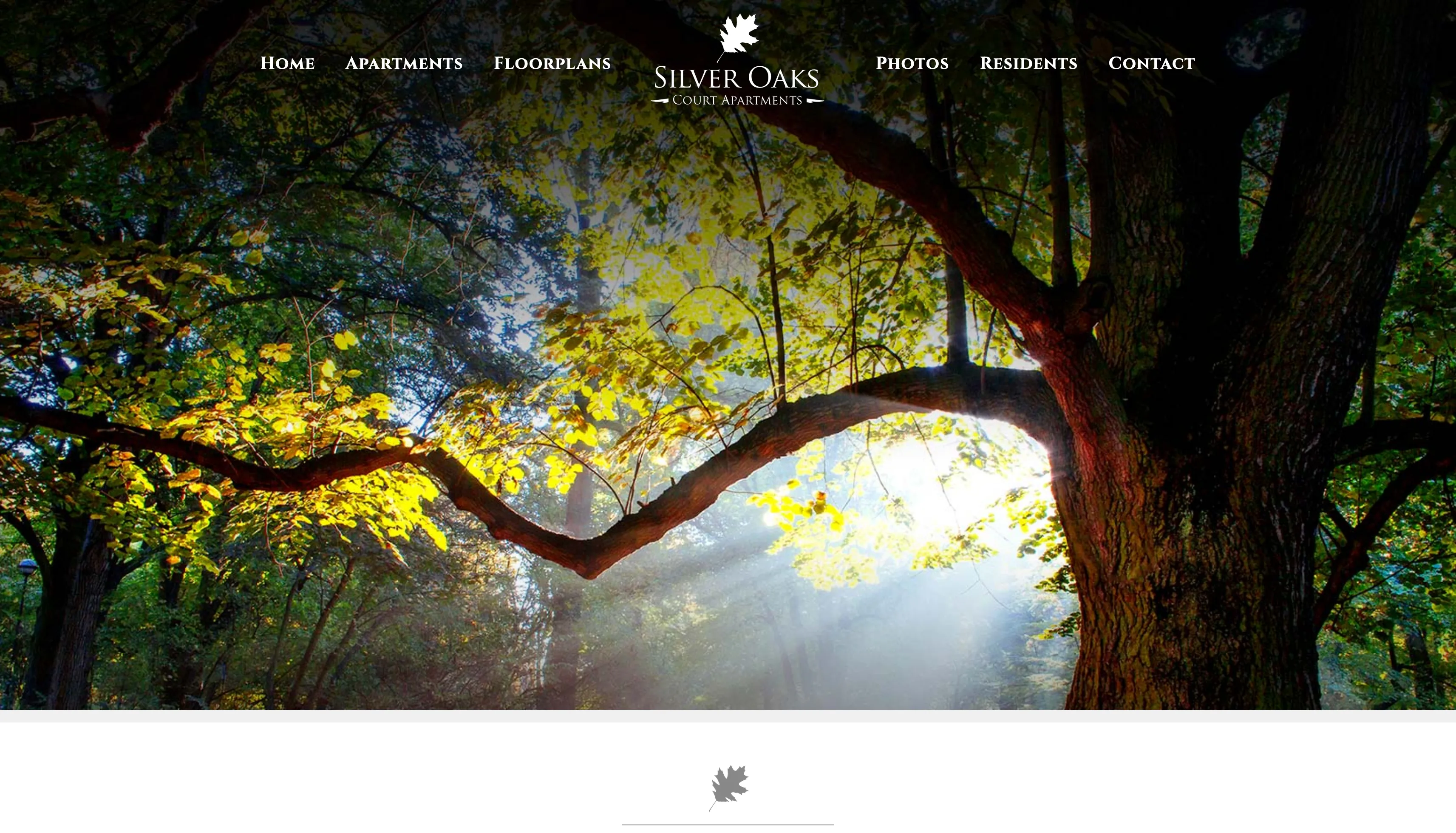 Silver Oaks Apartments website on desktop